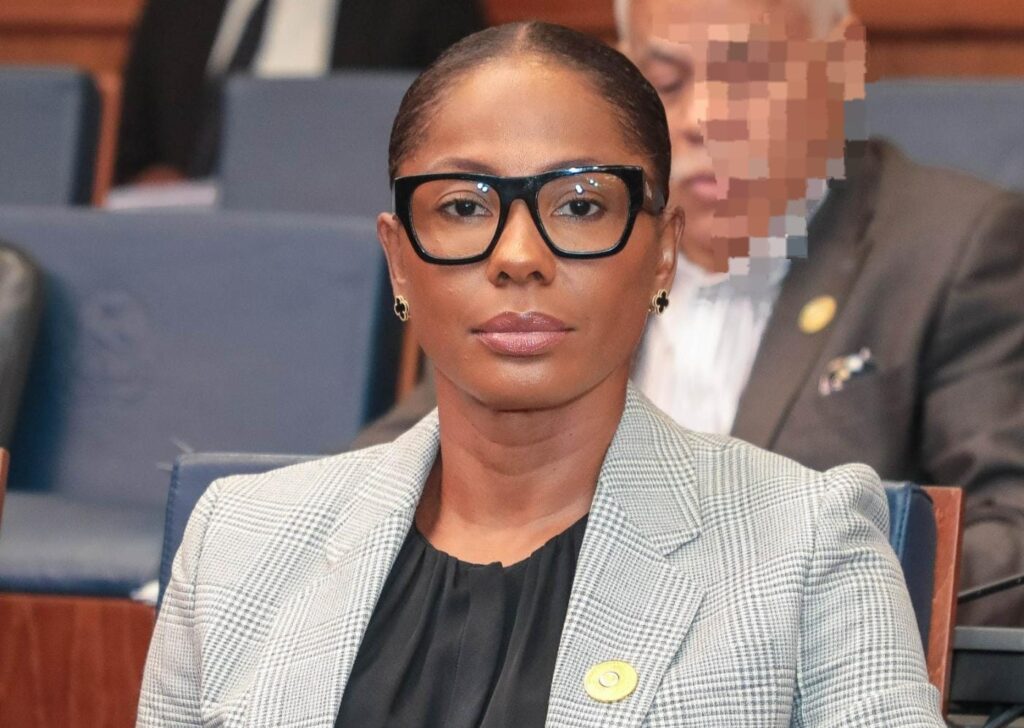 Presidente da República exonera Luísa Grilo e nomeia Erika Aires como nova ministra da Educação